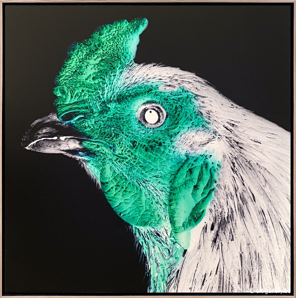 VANMECHELEN Koen - Cosmopolitan Chicken